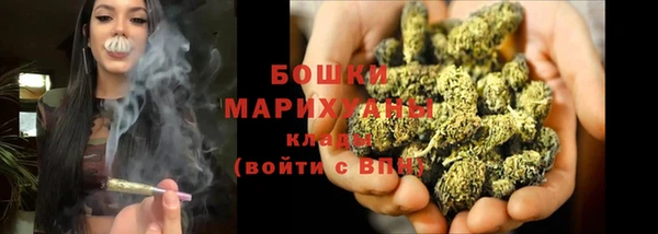 сатива Богородск