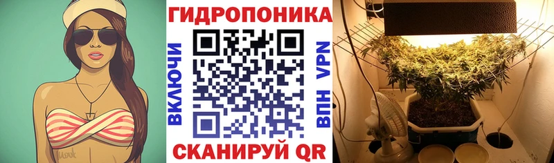 Бошки Шишки Amnesia  Купить  Калининск 